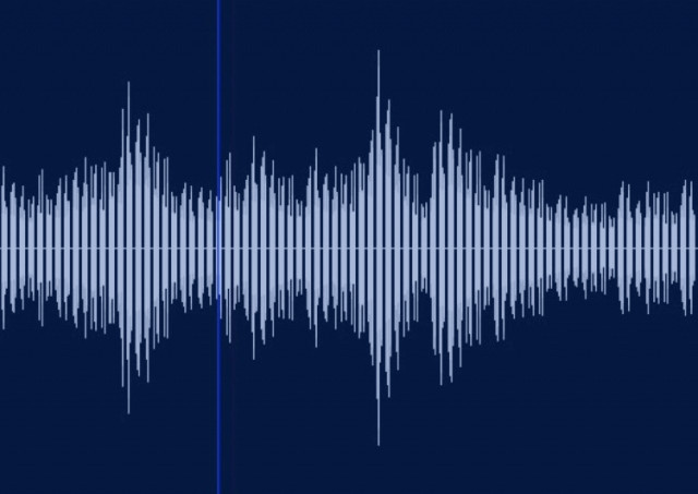 声紋分析について